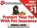 Pet Health Insurance For Cats & Dogs