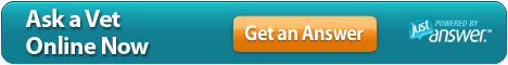 Ask a Vet Online.  Get an Answer ASAP.