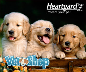 Get Heartgard at VetShop.com
