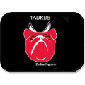 Taurus Feeding Mat